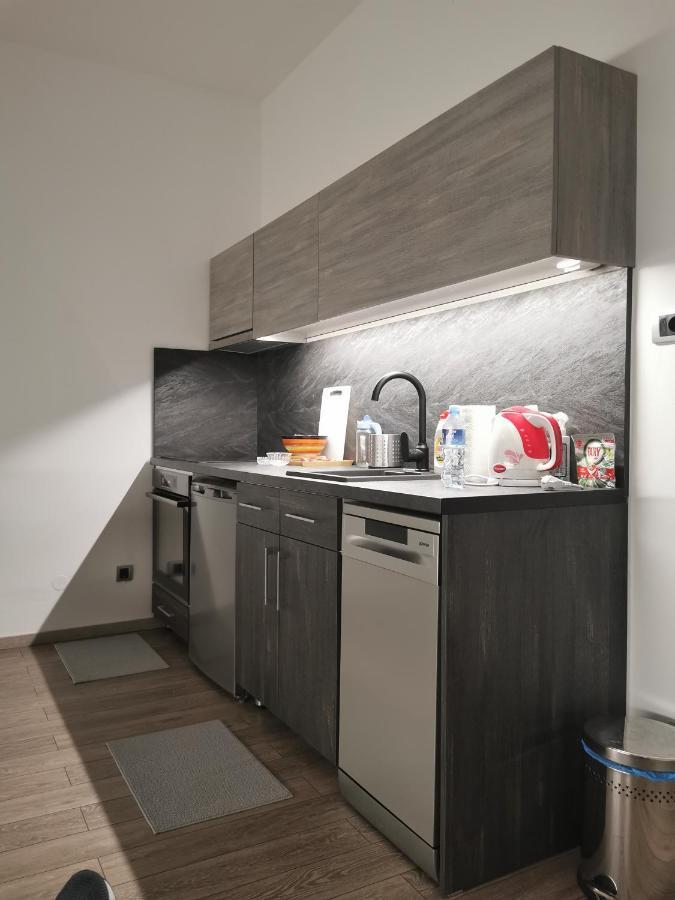 Apartman Pavlovic 1 Dedinje Zewnętrze zdjęcie